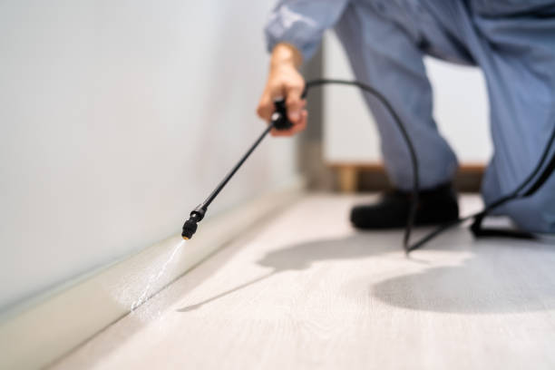 Licensed Cockroach Control service in Oberlin, LA - Nex Pest Control