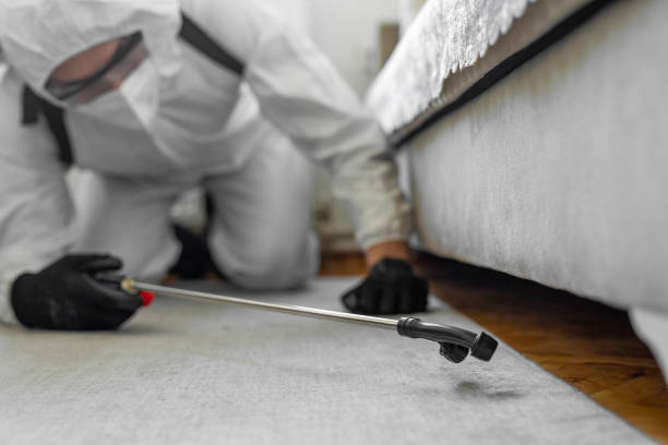 Professional Cockroach Control technician working in Oberlin, LA