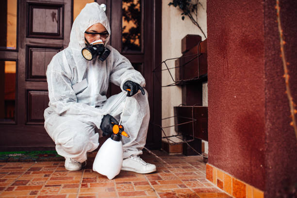 Reliable Cockroach Control contractor in Oberlin, LA by Nex Pest Control