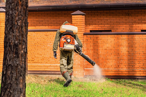 Top rated local Cockroach Control specialists in Oberlin, LA